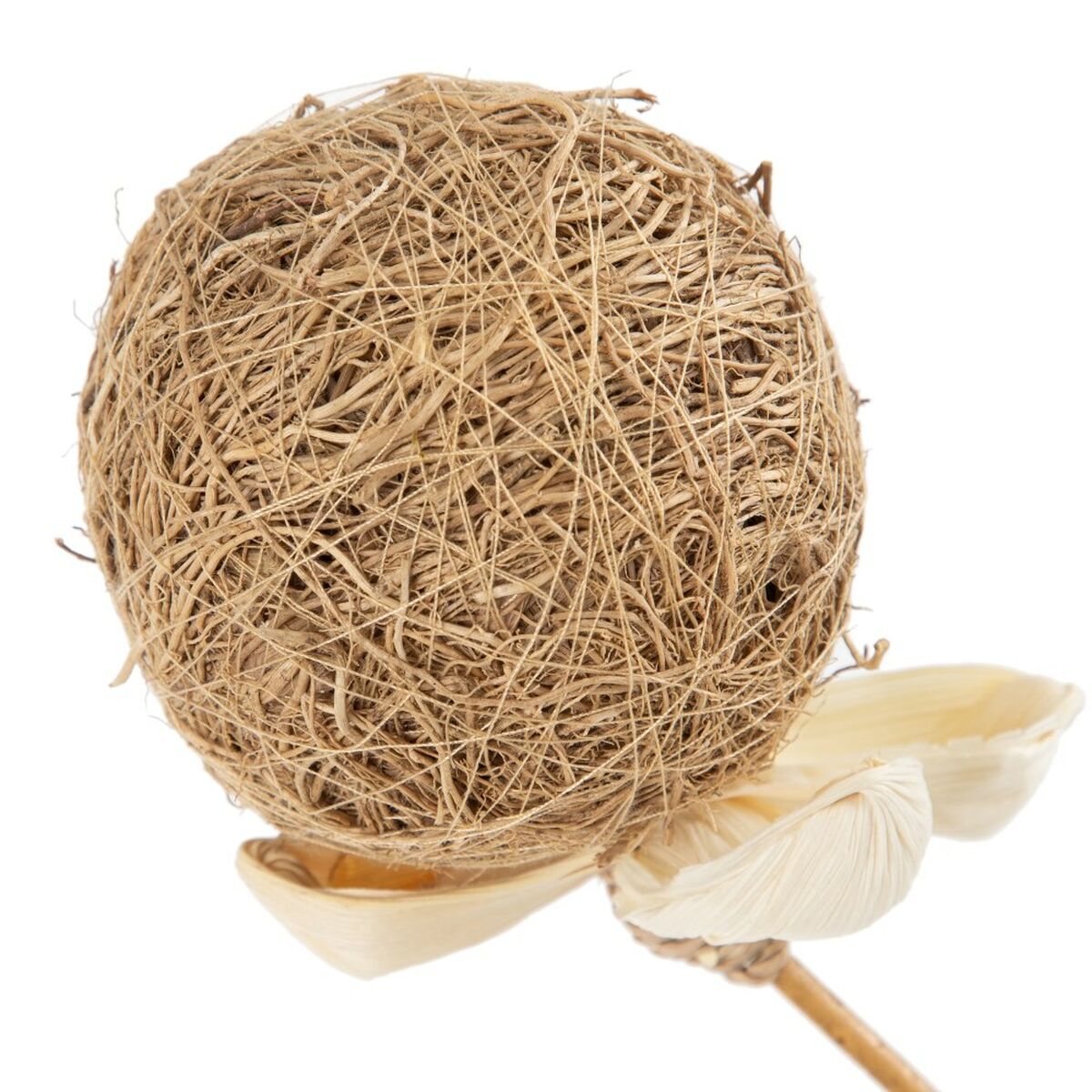 Branch Beige Bamboo Natural Fibre Flower 8 x 8 x 156 cm
